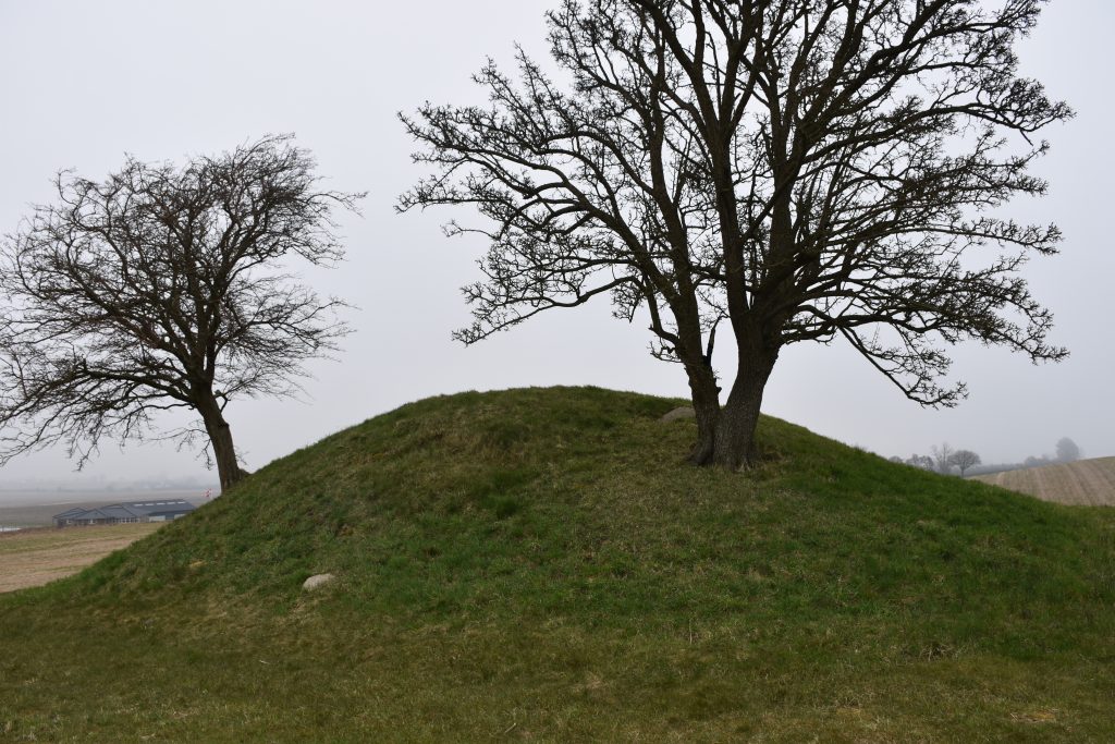 Jættestuen i Nr. Frenderup. Foto Søren Faaborg Nielsen