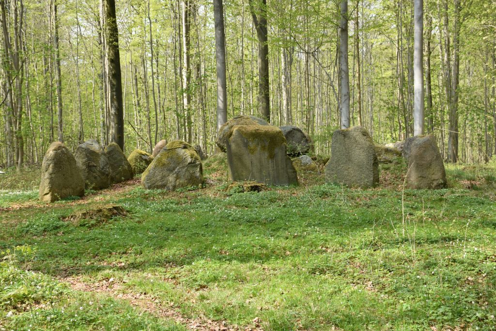 Frejlev Skov. Foto Søren Faaborg Nielsen