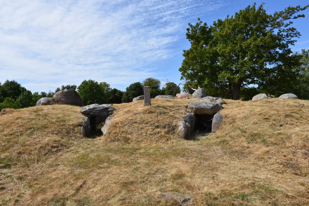 Svinø Måneshøj. Foto Søren Faaborg Nielsen