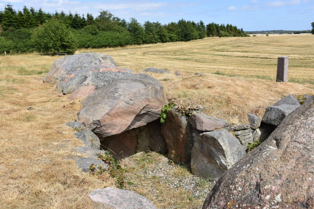 Svinø Måneshøj. Foto Søren Faaborg Nielsen